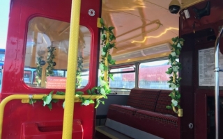 Interior - Rear